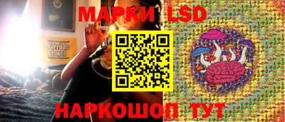 дурь Будённовск